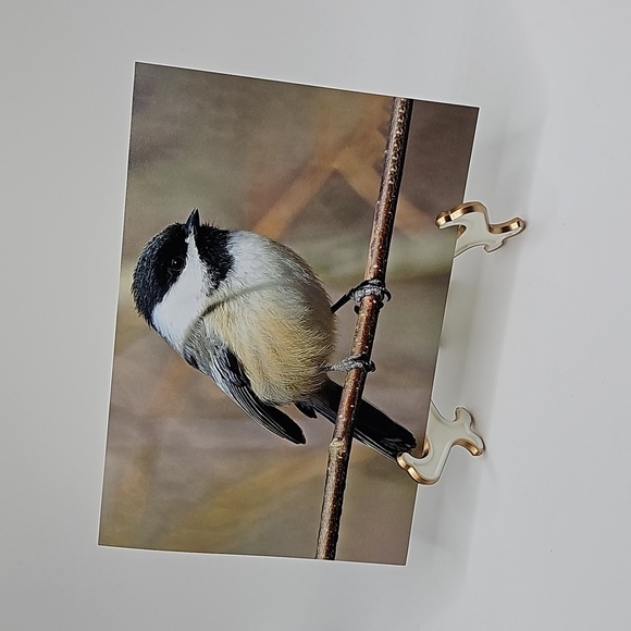 4x6 Chickadee Bird Oil Painting Photography Print‎ - Picture 7 of 7